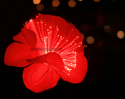 Dây Đèn LED Hoa đỏ