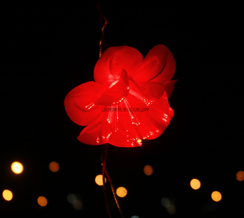 Dây Đèn LED Hoa đỏ