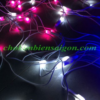 Đèn chớp LED lưới